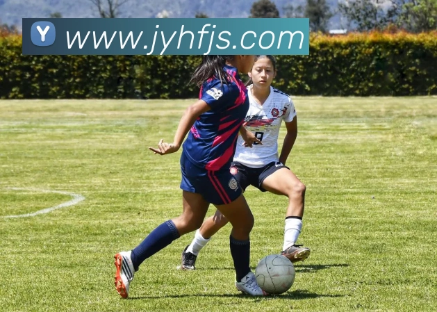 九游会j9发展历程